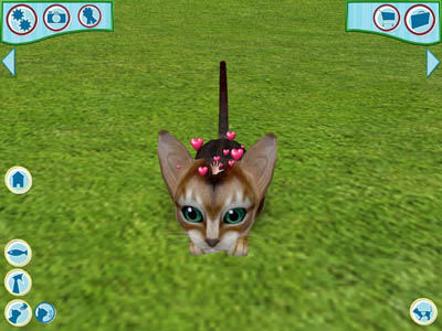 Catz Серия: Petz инфо 6497b.